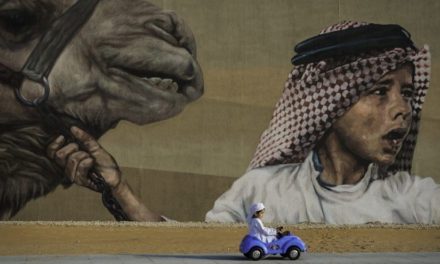 سوني تعلن عن أفضل صورة فوتوغرافية لعام 2017 في الجوائز الوطنية الإماراتية
