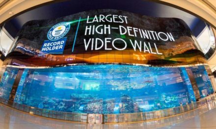 “إعمار للترفيه” تحقق لقباً جديداً من “غينيس للأرقام القياسية” عبر شاشة OLED المرنة المؤلفة من 820 لوحاً