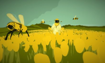 بيريللي تكشف عن قصة تحولها الرقمي في تقريرها السنوي المتكامل لعام 2017