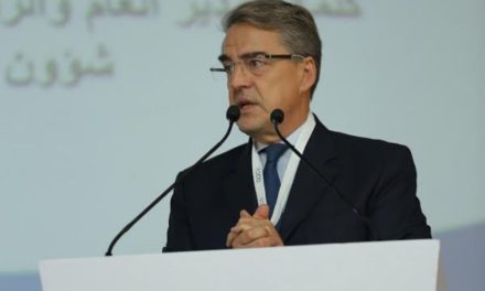 الاتحاد الدولي للنقل الجوي يحث على تعزيز مساهمات قطاع الطيران في المنطقة