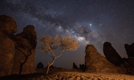 تجارب الشتاء في العلا – أعظم تحفة عرفها الزمن