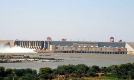 الصندوق السعودي للتنمية  يضيئ على أبرز اسهاماته في تمويل ودعم المشاريع البيئية بالتزامن مع انعقاد قمة مبادرة الشرق الأوسط الأخضر