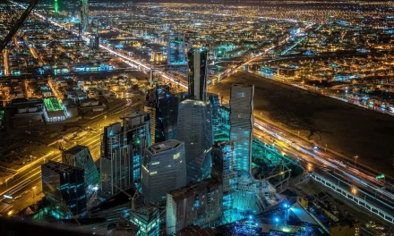 الضروراتُ العشرةُ لنجاحِ برامجِ التخصيصِ بمنطقةِ الشرقِ الأوسطِ