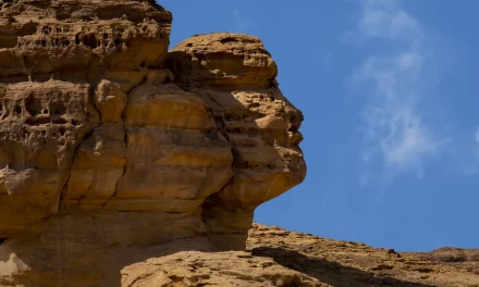 العلا تُطلق أول منصة لتدريب خبراء السفر عبر الإنترنت