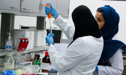 صندوق جميل لأبحاث الأمراض المعدية والابتكار يوجّه دعوة مفتوحة للمجموعة الثانية من الباحثين في جامعة الملك عبدالعزيز لتقديم مقترحاتهم البحثية للمشاريع التي ستتلقى تمويلاً جديداً من صندوق جميل لأبحاث الأمراض المعدية والإبتكار 