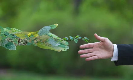  سيتا تحصل على تسهيلات ائتمانية لتعزيز جهودها في مجال الاستدامة ￼