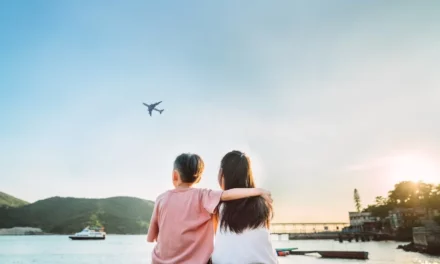 سيتا تكشف عن زيادة استثمارات شركات الطيران والمطارات في تكنولوجيا المعلومات 