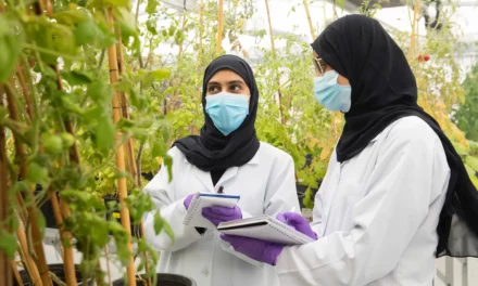 جامعة الإمارات تدعم التقدم العلمي والبحثي بتمويل 132 مشروعاً بحثياً يُعزّز  الابتكار والتطوير
