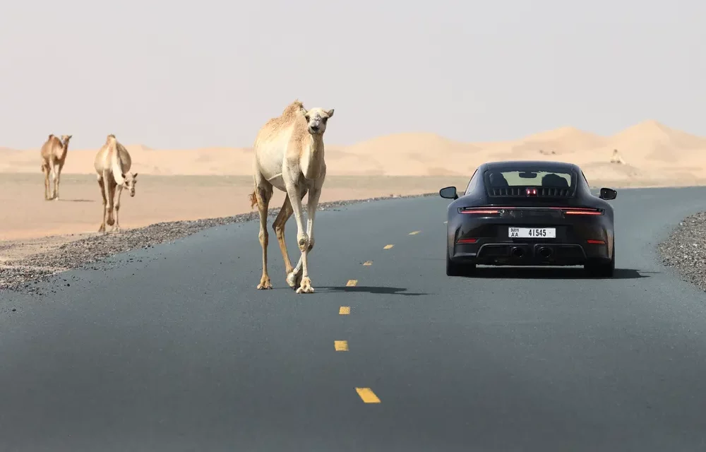 الانتهاء بنجاح من تطوير أول سيارة 911 بمحرك هجين