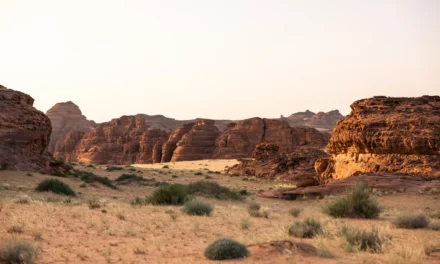 ثلاث تجارب فريدة للاحتفال باليوم الوطني السعودي