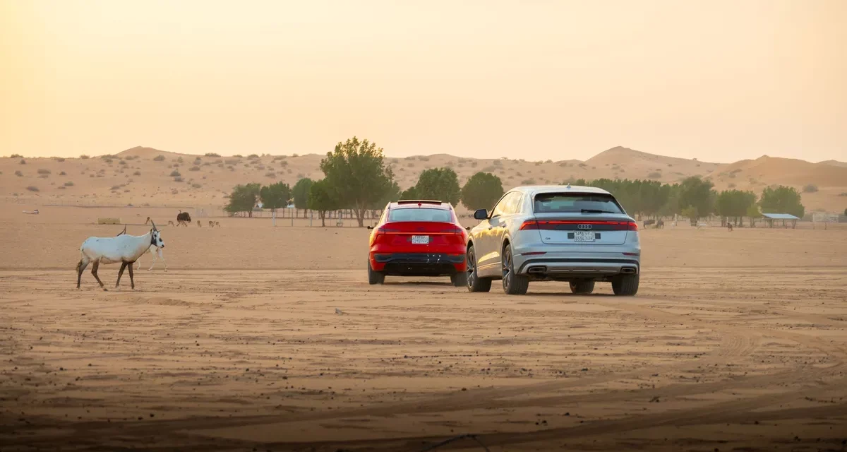 Audi تستضيف تجربة علامة تجارية لا تُنسى في منتجع نوفا بالرياض.