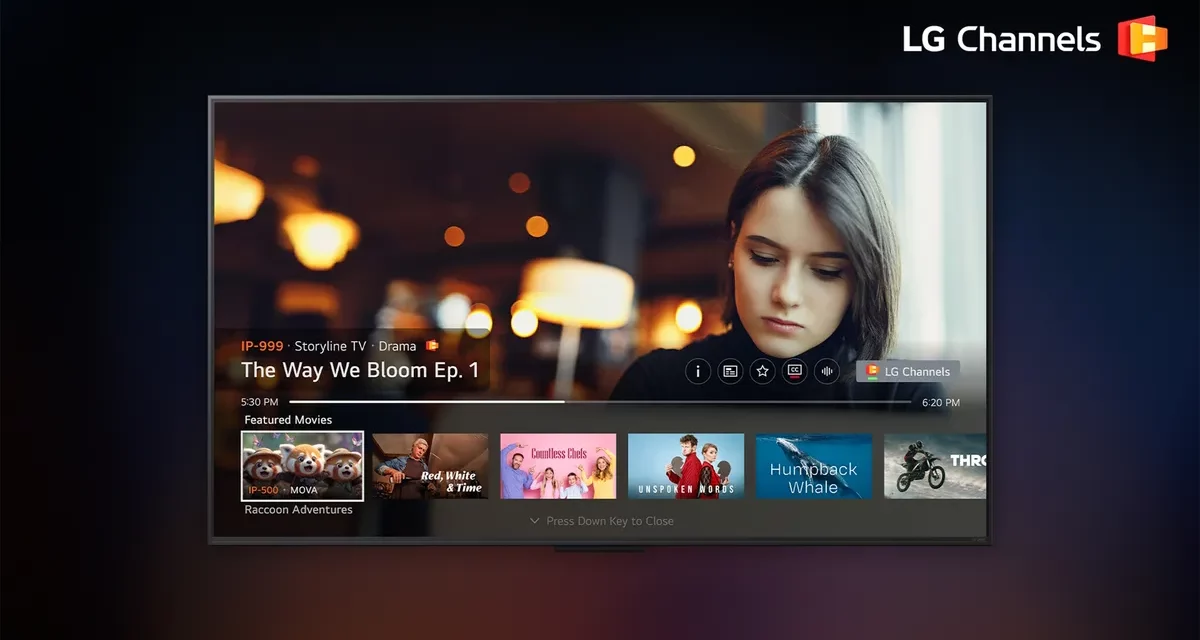 تحديث LG Channels يقدم هوية جديدة وتوسعاً عالمياً