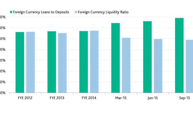 Egyptian Banks Will Benefit From Devaluation and Rising Interest Rates