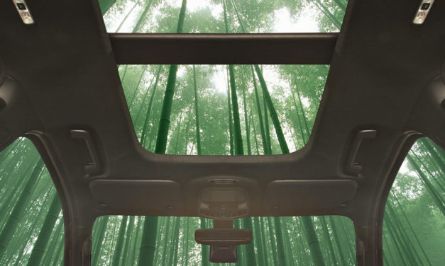 What’s Super Strong, Fast Growing, and Potentially Part of  Your Next Car? Bamboo!
