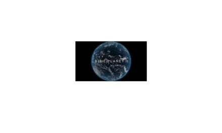 Blue Planet Prevents Up To 95 Percent of Network Outages with New Proactive Network Operations Solution