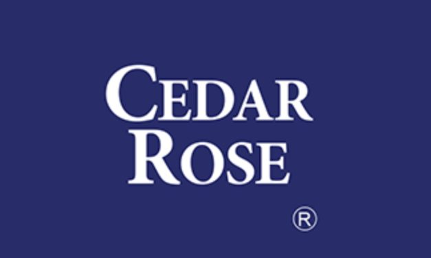 Leveraging on the Latest Technology Cedar Roseto provide Business Risk Assessment Solutions to iXerv