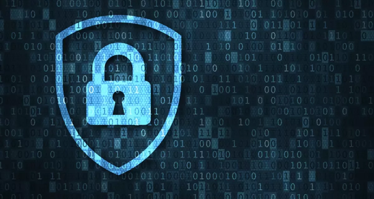 Red flags – which platforms/services do internet users have the most privacy concerns about?