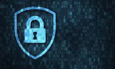Red flags – which platforms/services do internet users have the most privacy concerns about?