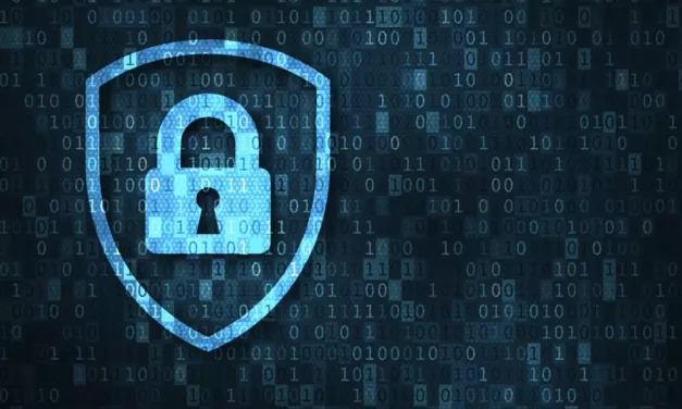 Red flags – which platforms/services do internet users have the most privacy concerns about?