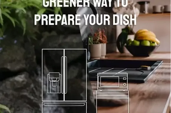 Making Greener Choices in Everyday Life