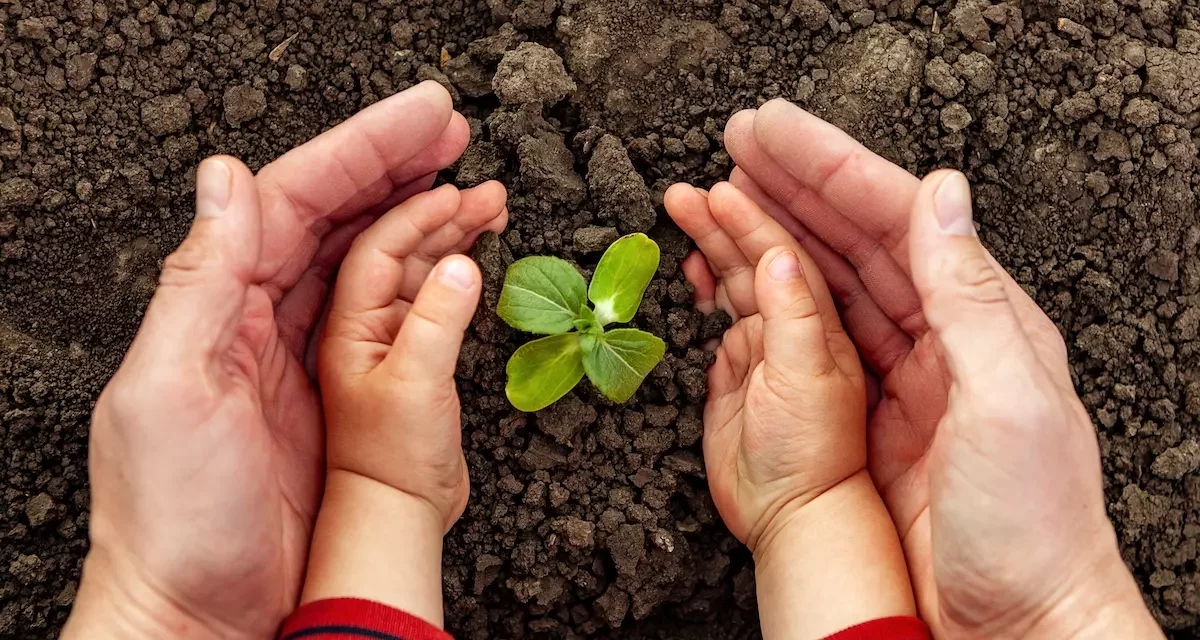 Together for a greener future – Virgin Mobile achieves carbon neutrality across the UAE