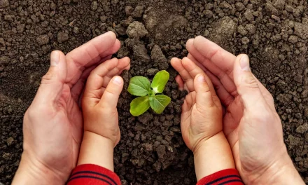 Together for a greener future – Virgin Mobile achieves carbon neutrality across the UAE
