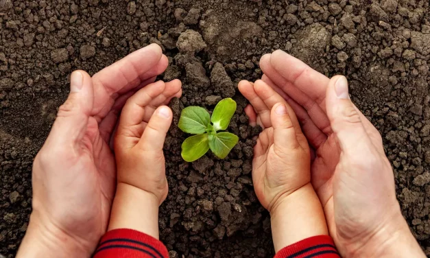 Together for a greener future – Virgin Mobile achieves carbon neutrality across the UAE