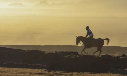 Two world-class equestrian events return to AlUla