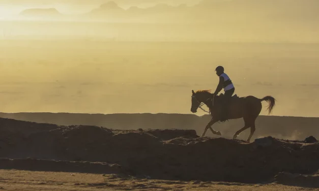 Two world-class equestrian events return to AlUla