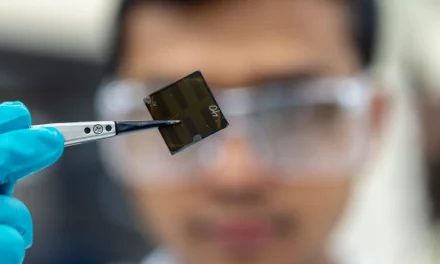 Perovskite Solar Cells Taking the Heat