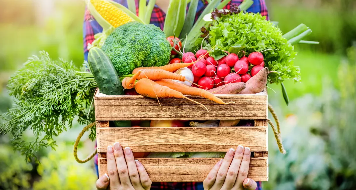 ORGANIC FOODS AND CAFÉ RETROFITS DUBAI STORE LOCATION WITH LOWER-GLOBAL-WARMING POTENTIAL HONEYWELL SOLSTICE® N40 REFRIGERANT 