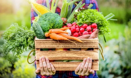 ORGANIC FOODS AND CAFÉ RETROFITS DUBAI STORE LOCATION WITH LOWER-GLOBAL-WARMING POTENTIAL HONEYWELL SOLSTICE® N40 REFRIGERANT 