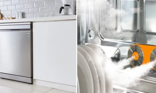 REDEFINING THE HOUSEHOLD ROUTINE WITH LG