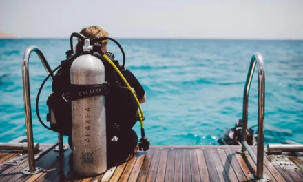 Red Sea Global Launches New Water Sports and Diving Brands to Deliver Above and Below Water Experiences at The Red Sea and Amaala