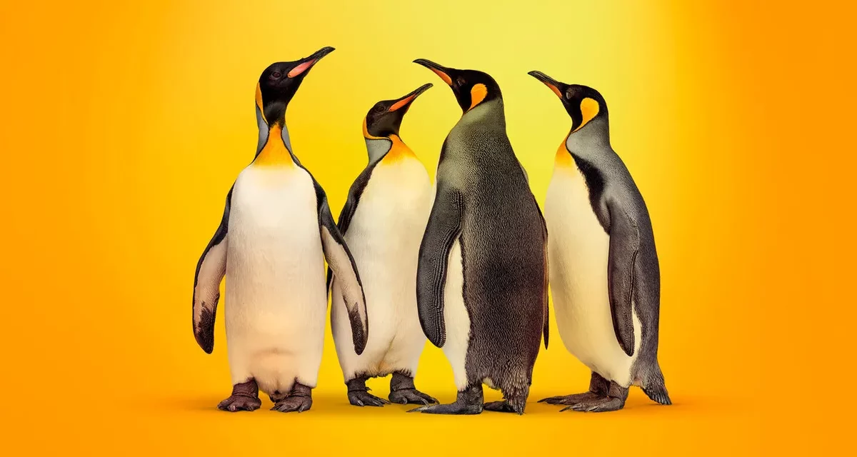 Kaspersky launches specialized solution for Linux-based embedded devices 