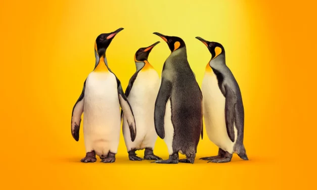 Kaspersky launches specialized solution for Linux-based embedded devices 