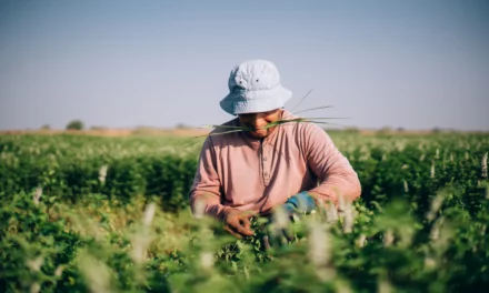 Givaudan Taste & Wellbeing to showcase food experiences inspired by consumers at Gulfood Manufacturing 2023 in Dubai