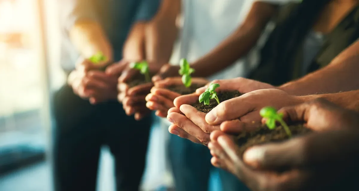 Applications open for Mega Green Accelerator, to support climate solutions by regional start-ups