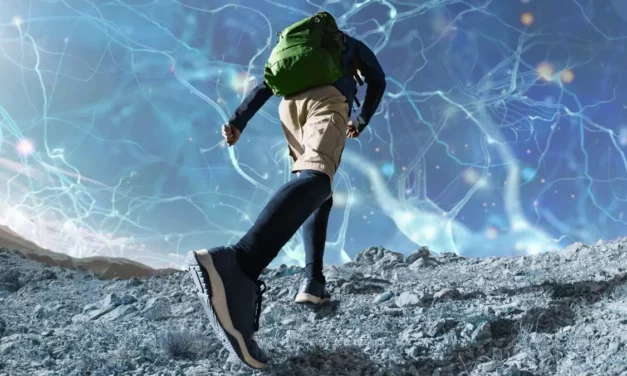Cisco Launches $1B Global AI Investment Fund