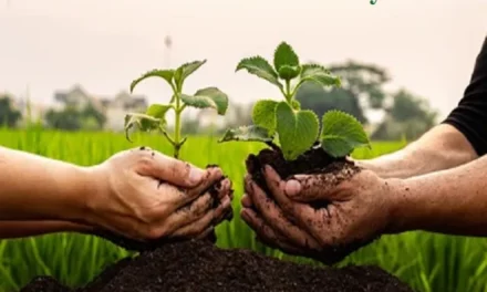 Saudi Arabia’s Vision 2030 Paves the Way for a Sustainable Future