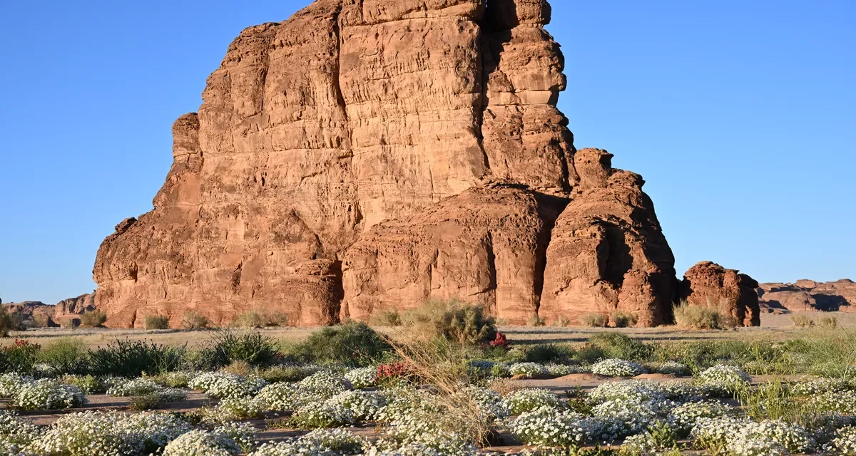 ALULA RECOGNISED TWICE IN TIME’S 2024 ‘WORLD’S GREATEST PLACES’ AWARDS