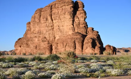 ALULA RECOGNISED TWICE IN TIME’S 2024 ‘WORLD’S GREATEST PLACES’ AWARDS