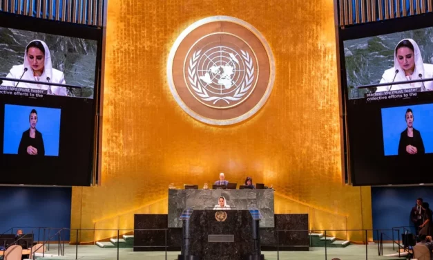 DCO Secretary-General commends Global Digital Compact at Summit of the Future