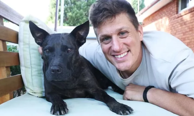 AI-Assisted mRNA Cancer Vaccine Shrinks Tumours in Dog, Raising Hopes for Human Oncology