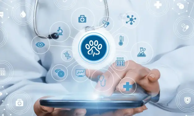 Bupa CareConnect Records Fivefold Growth in Digital Consultations